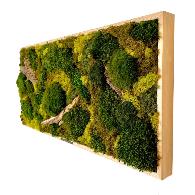 Moss Absorber KILIAN 110x55x6cm - Custom-made