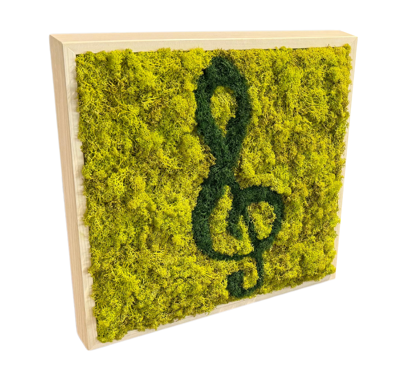 moss absorber KILIAN