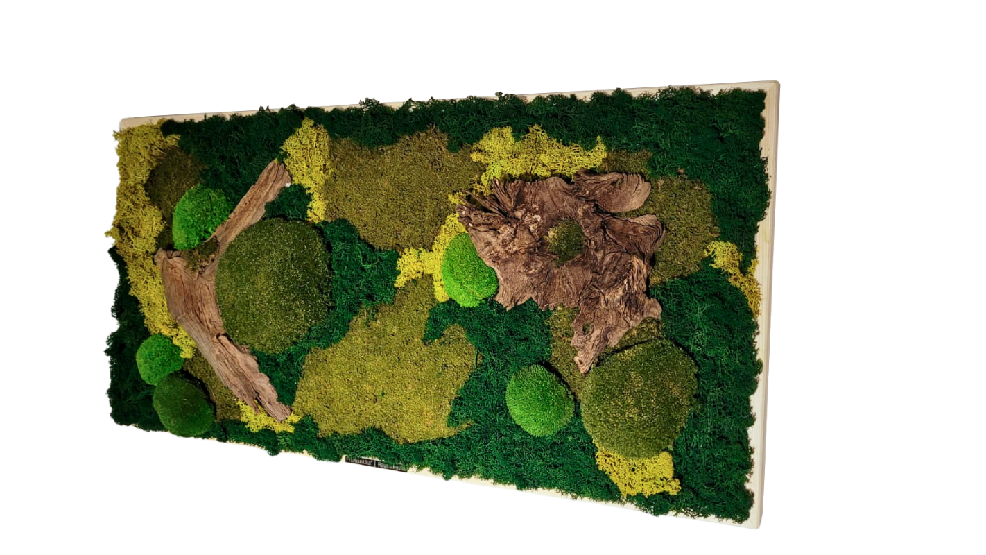 moss absorber KILIAN