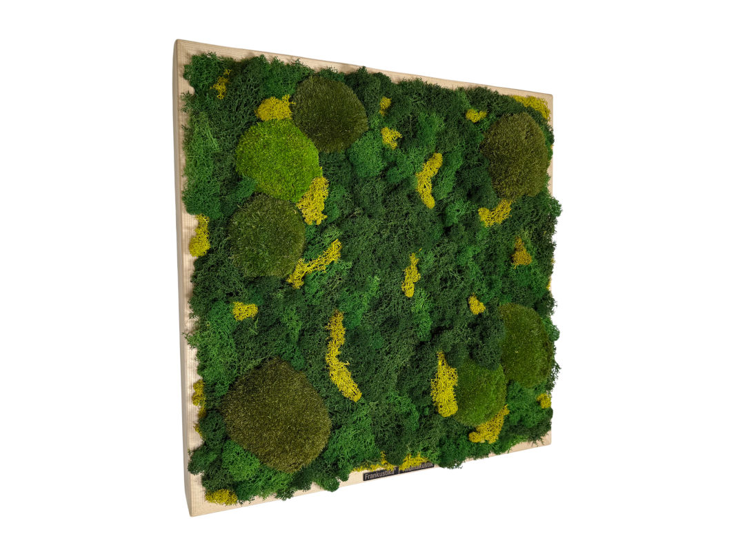 moss absorber KILIAN