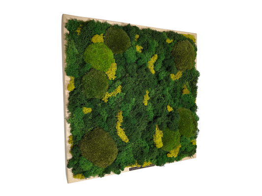 moss absorber KILIAN