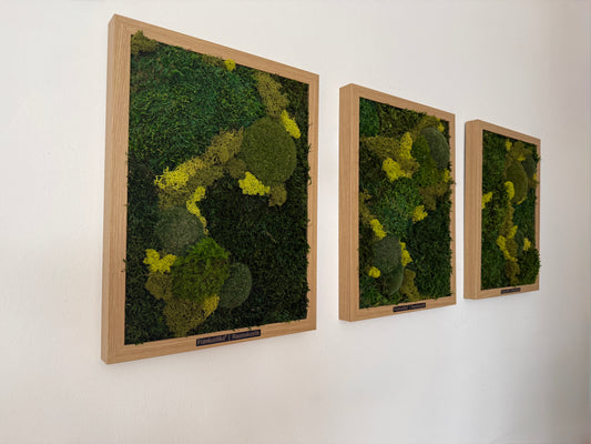 Moosbilder 3er Set – handgefertigt aus echtem konservierten Naturmoos