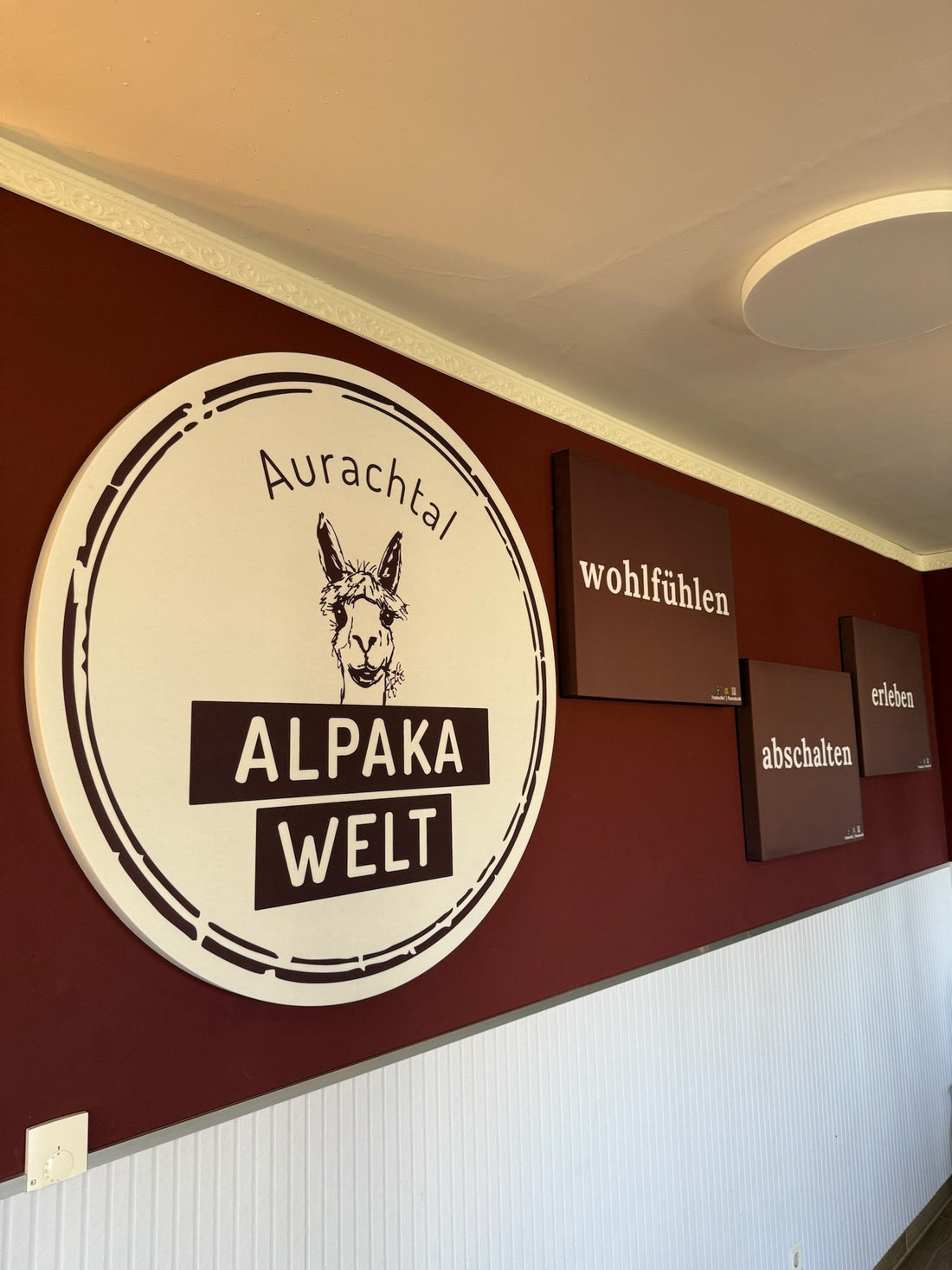 Raumakustik im Hofcafé der Aurachtal Alpakas in Abenberg