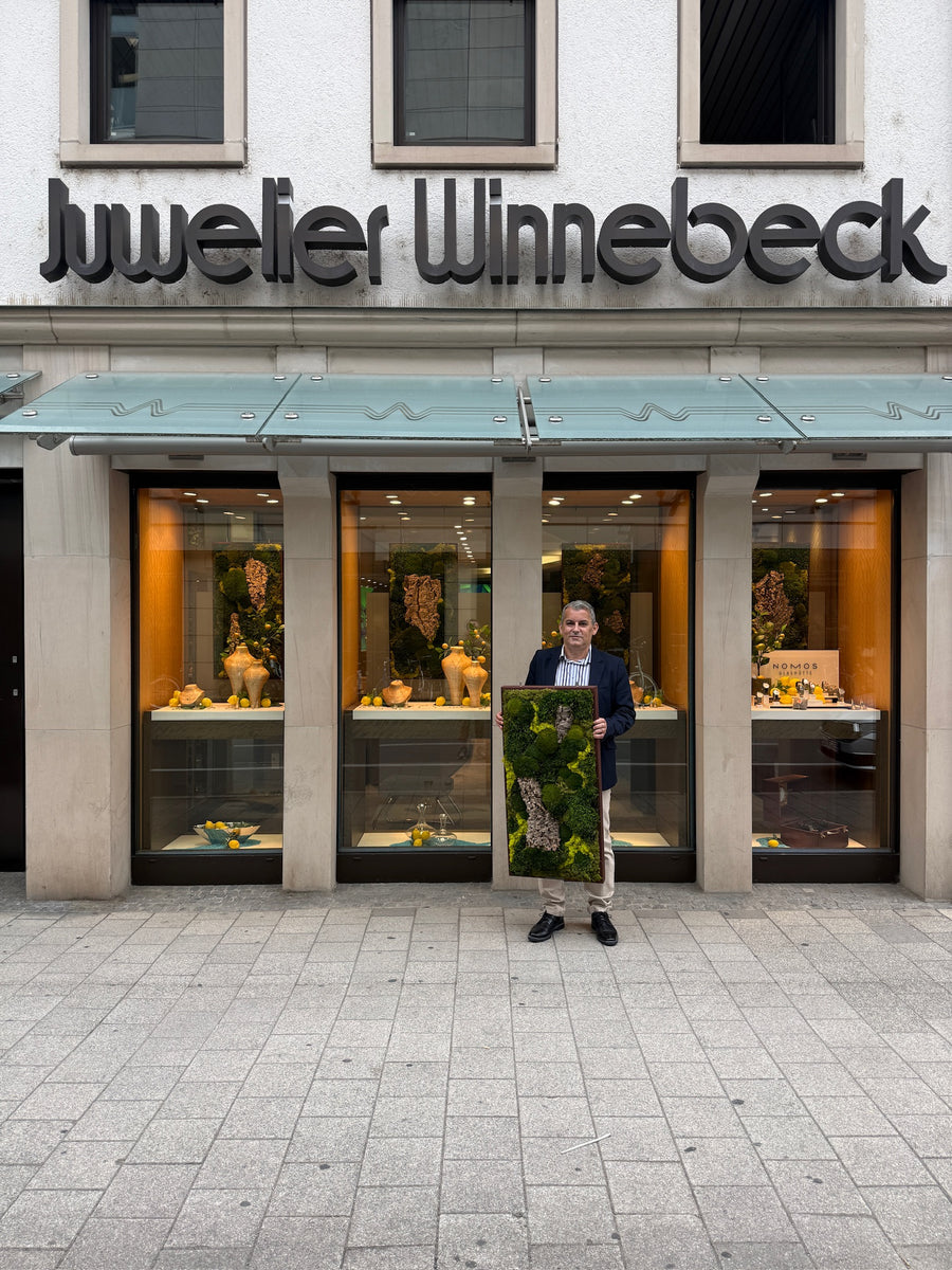 Detail einer Mooskomposition für Juwelier Winnebeck in Erlangen