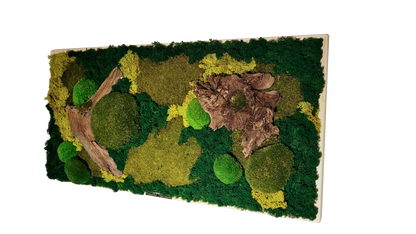 moss absorber KILIAN