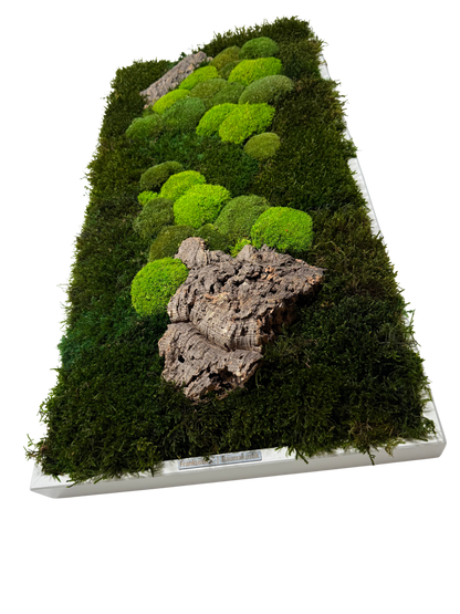moss absorber KILIAN