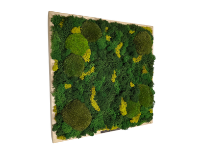 moss absorber KILIAN