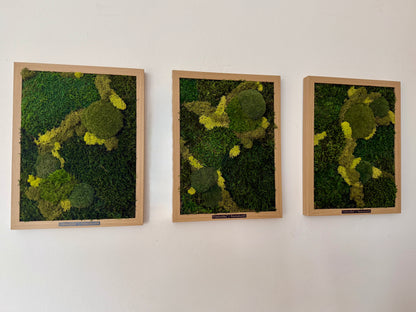 Moosbilder 3er Set – handgefertigt aus echtem konservierten Naturmoos