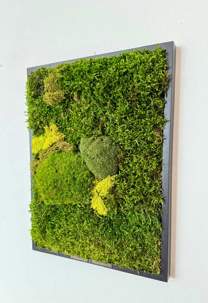 Moosbilder 3er Set – handgefertigt aus echtem konservierten Naturmoos