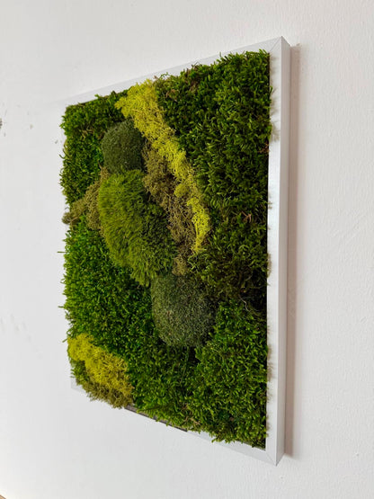 Moosbilder 3er Set – handgefertigt aus echtem konservierten Naturmoos