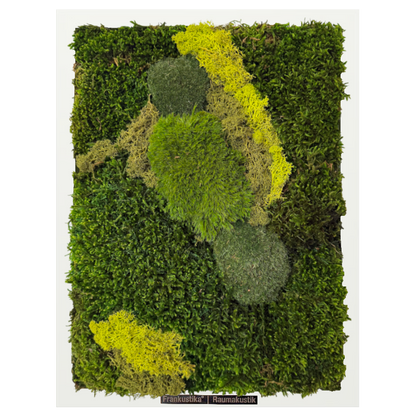 Moosbilder 3er Set – handgefertigt aus echtem konservierten Naturmoos