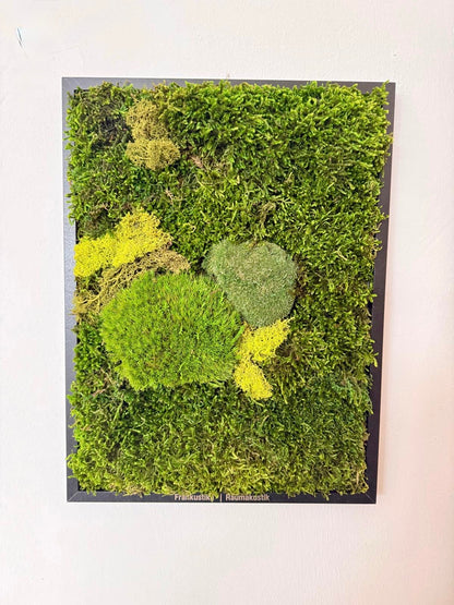 Moosbilder 3er Set – handgefertigt aus echtem konservierten Naturmoos