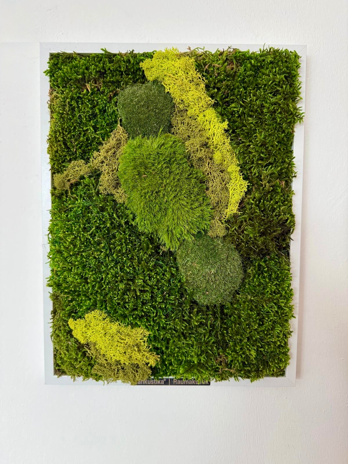 Moosbilder 3er Set – handgefertigt aus echtem konservierten Naturmoos